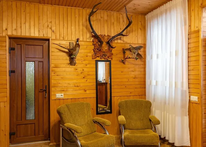 у румуна Otel Chorna Tysa