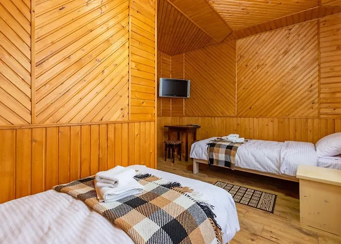у румуна Otel *