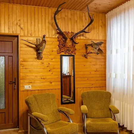 у румуна Hotel Chorna Tysa