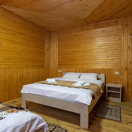 у румуна Hotel Chorna Tysa